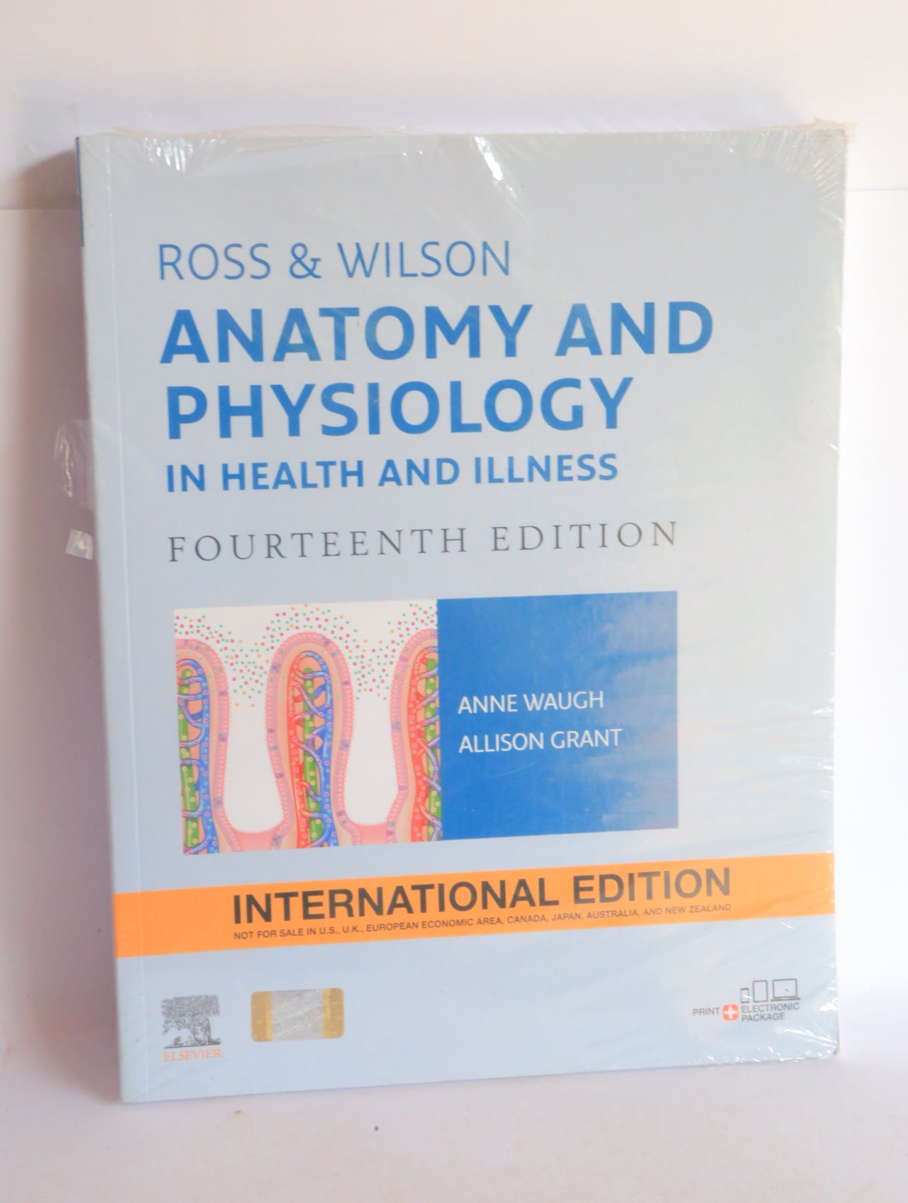 ANATOMY & PHSIOLOGY IN HEALTH &ILLNESS