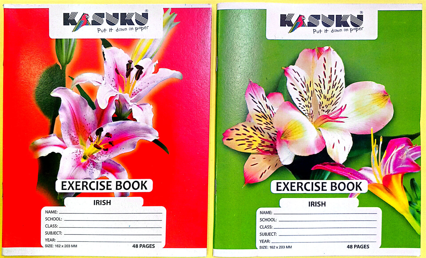 EXERCISE BOOKS BANK 48PG IRISH