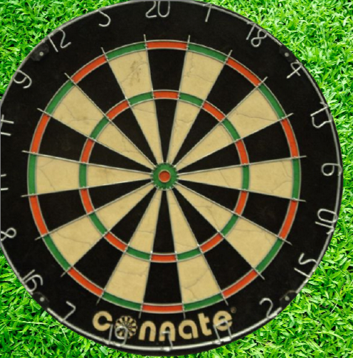 DART BOARD CONNATE