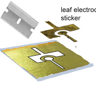 LEAF ELECTROCODE GOLD