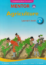 MENTOR AGRICULTURE (PRIMARY)