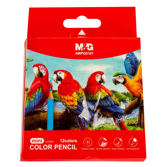 M&G COLOURED PENCIL FULL SIZE-12C 34361