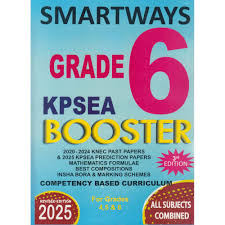 SMARTWAYS  KPSEA BOOSTER GD6