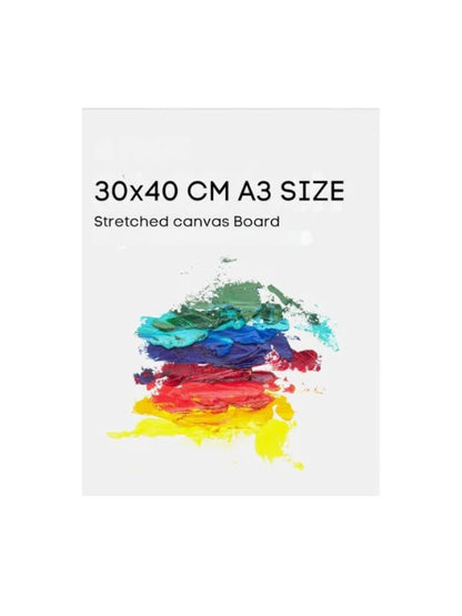 ARTIST CANVAS 30*40 cm