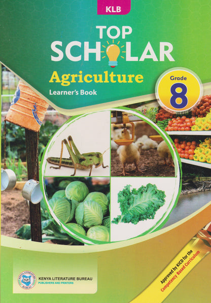 KLB TOPSCHOLAR LEARNER'S BOOK (JUNIOR SECONDARY)